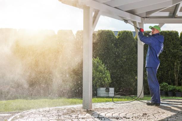 Best Boat and Dock Cleaning  in Crest View Heights, NY
